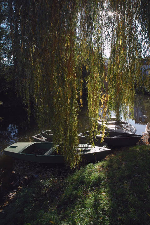 ANParcs27.jpg